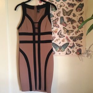 ✨ ✨$15 spring sale ✨